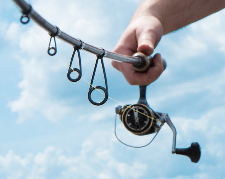 Your All-Inclusive Guide to Fishing Tackle and Rods